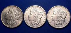 1902 P O &1903 Morgan Dollars From a Near Complete Set