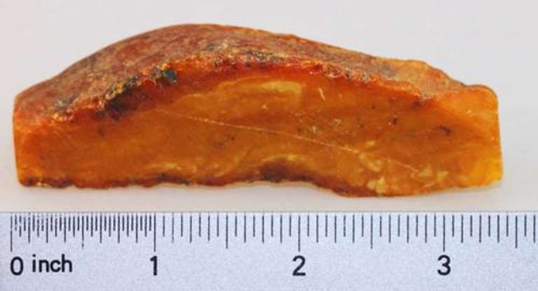 Raw Amber Specimen - 54 grams