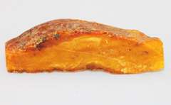 Raw Amber Specimen - 54 grams