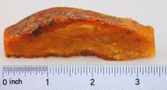 Raw Amber Specimen - 54 grams