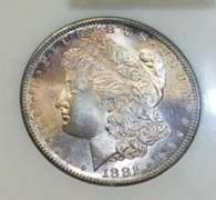 1882-S Morgan  Dollar, NGC MS-64, Near GEM, Tone