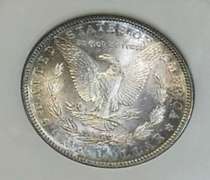 1882-S Morgan  Dollar, NGC MS-64, Near GEM, Tone