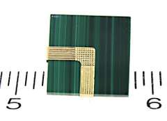 Malachite and Gold Accent Earrings