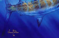 Beautifully Collectible Art By Mathias