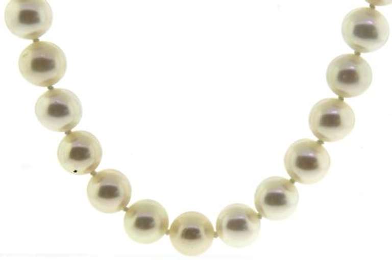 White Fresh water Pearl Necklace