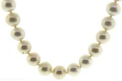 White Fresh water Pearl Necklace