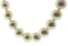 White Fresh water Pearl Necklace