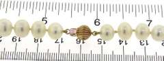 White Fresh water Pearl Necklace