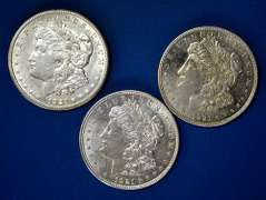 1921 P D S Morgan S Dollars From a Near Complete Set