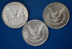 1921 P D S Morgan S Dollars From a Near Complete Set