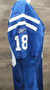 Payton Manning Autographed Jersey