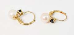 Pretty Pearl and Sapphire Earrings in 14K