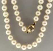 Elegant 14kt YG Fresh Water Pearl Necklace