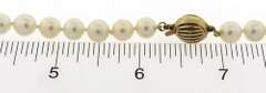 Elegant 14kt YG Fresh Water Pearl Necklace