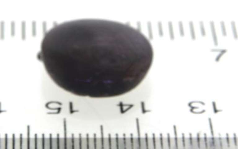 3.45ct Star Sapphire Loose Gemstone
