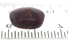 Loose Gemstone Star Sapphire