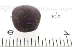 Loose Gemstone Star Sapphire