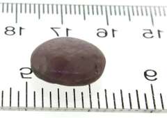 2.51ct Star Sapphire Loose Gemstone