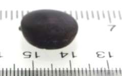 3.45ct Star Sapphire Loose Gemstone
