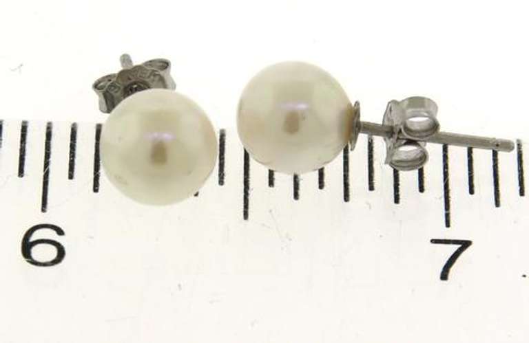 White Pearl Stud Earrings