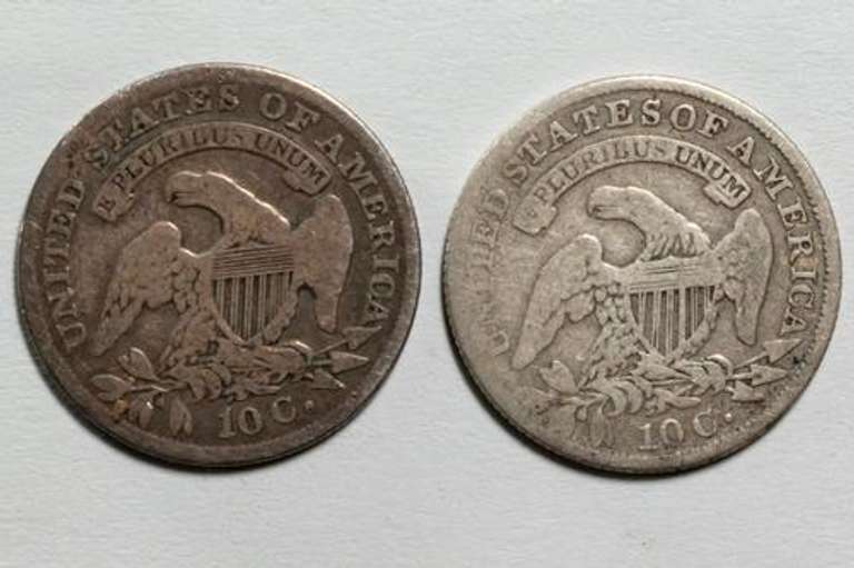 1833 &1835 Bust Dimes