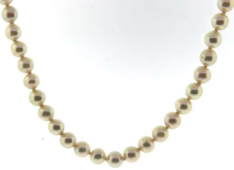 Simple & Lovely 14kt YG 5mm White Pearl Necklace