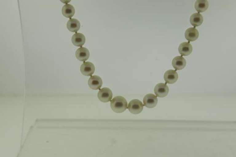 Graduated Strand of Pearl Necklace