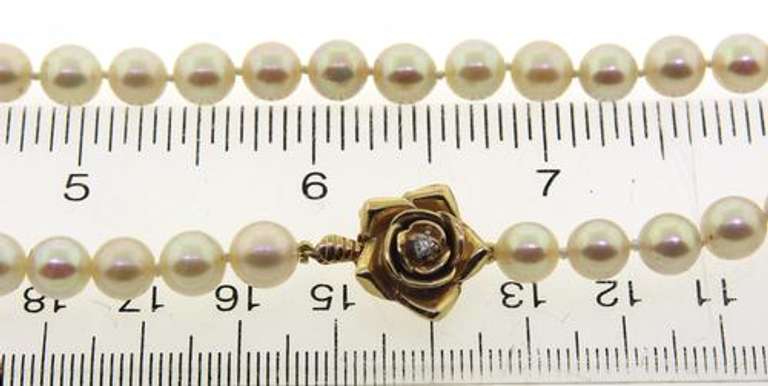 Magical 14kt YG White Pearl Necklace with Diamond Rose Clasp