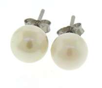 White Pearl Stud Earrings
