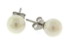 White Pearl Stud Earrings