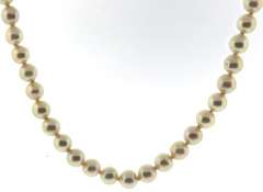 Simple & Lovely 14kt YG 5mm White Pearl Necklace