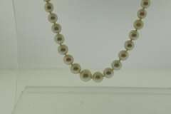 Graduated Strand of Pearl Necklace