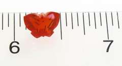 Mexican Fire Opal Butterfly 1.71ct