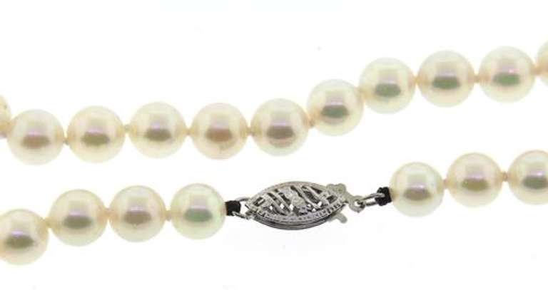 Powerful 6-6.5mm Pearl Necklace