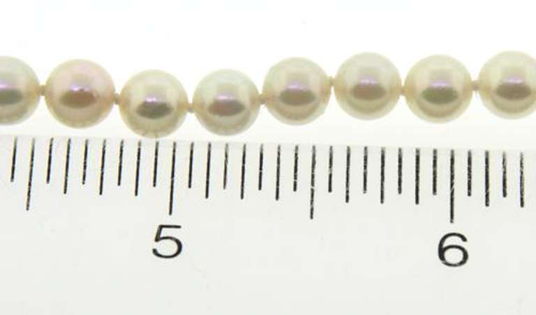 Powerful 6-6.5mm Pearl Necklace