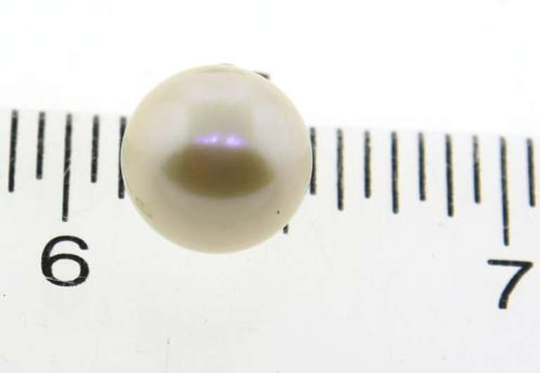 Trendy Akoya Pearl Stud Earrings