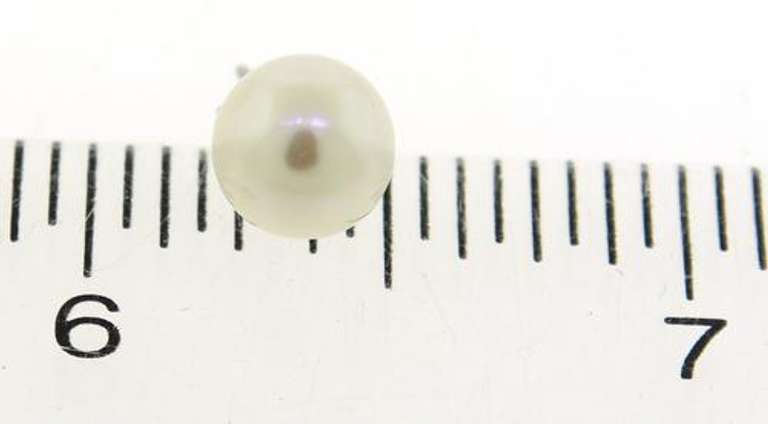 Simple Elegance 14kt WG 7.5-8mm Akoya Pearl Stud Earrings