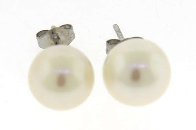 Simple Elegance 14kt WG 7.5-8mm Akoya Pearl Stud Earrings