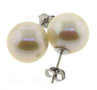 Trendy Akoya Pearl Stud Earrings