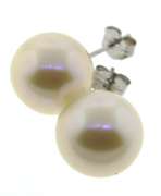 Trendy Akoya Pearl Stud Earrings
