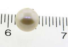 Trendy Akoya Pearl Stud Earrings