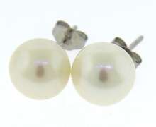 Simple Elegance 14kt WG 7.5-8mm Akoya Pearl Stud Earrings