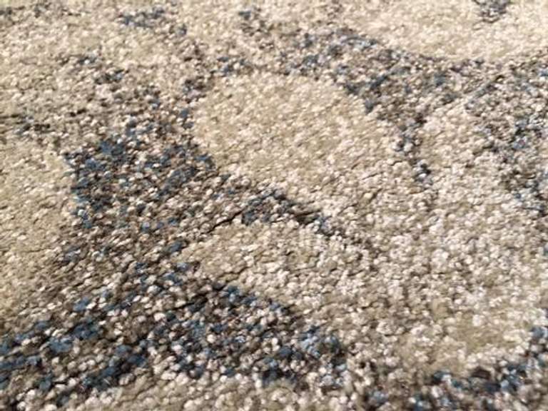 Exquisite Modern Allover Design Area Rug 8x11