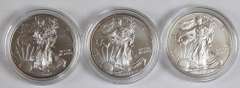 3 Burnished Unc Silver Eagles With Boxs And Papers