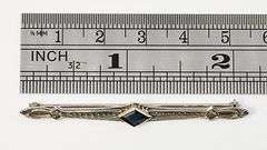 Tasteful White Gold & Sapphire Bar Pin