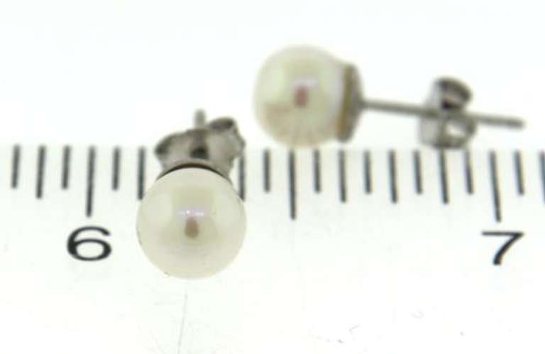 Sterling Silver 6-6.5mm Pearl Stud Earrings