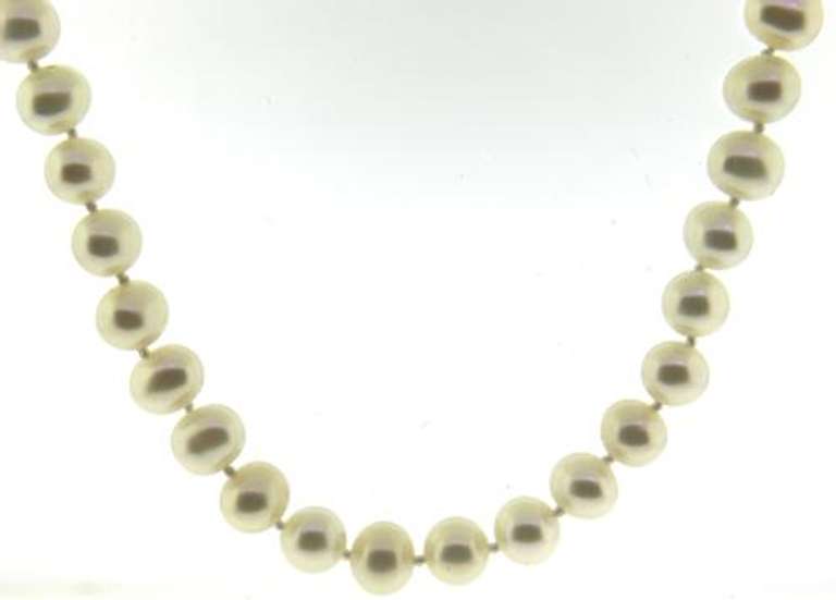 Fresh Water Pearl Necklace