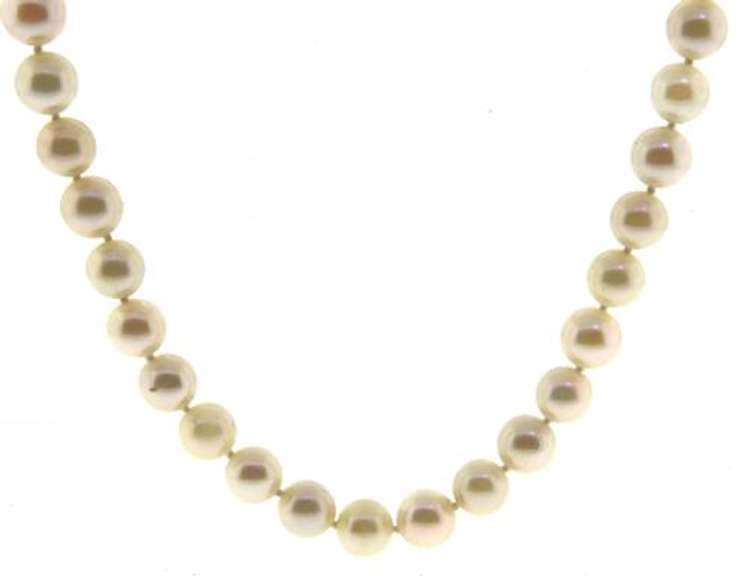 Gorgeous & Layerable 14kt WG White Pearl 6-6.5m Necklace