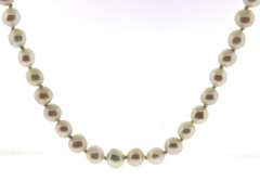 Fresh Water Pearl 18