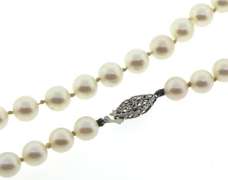 White Pearl Necklace